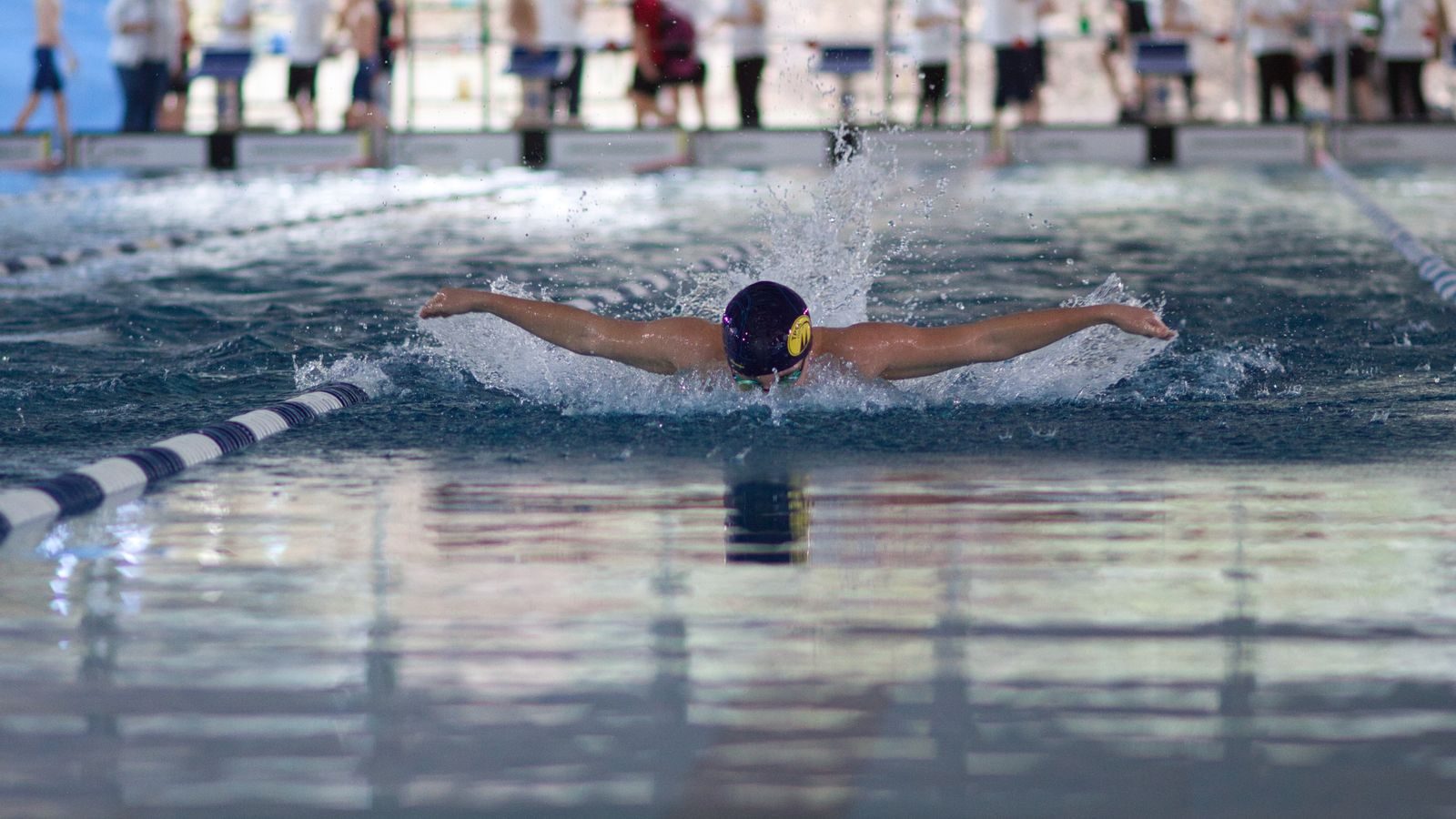 Schwimmer im Becken